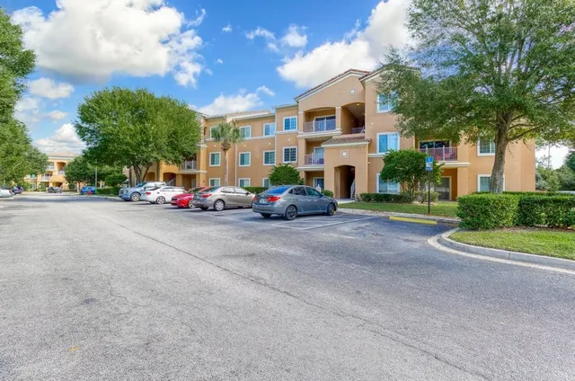 a view of a forest with trees in the background