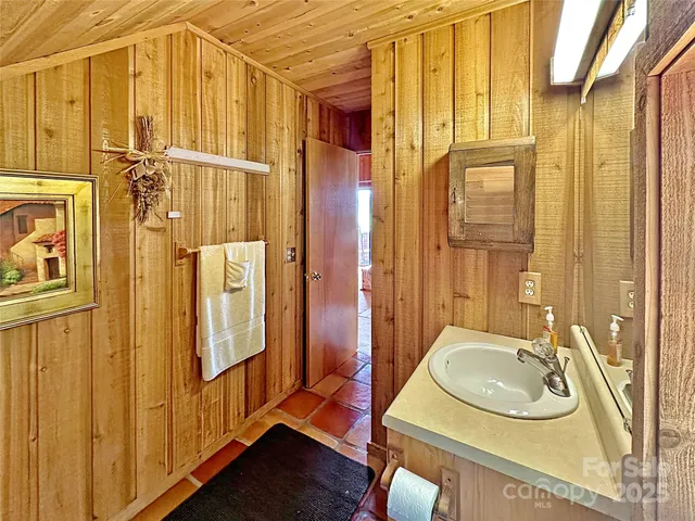 a bathroom with a sink a mirror and a shower