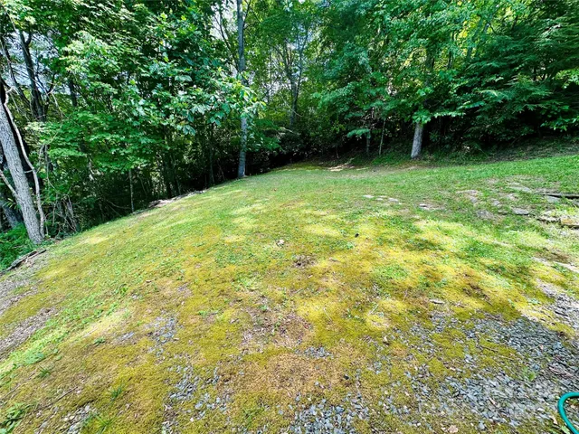 a view of backyard with green space