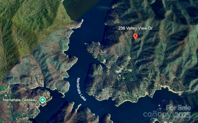 a picture of flowers