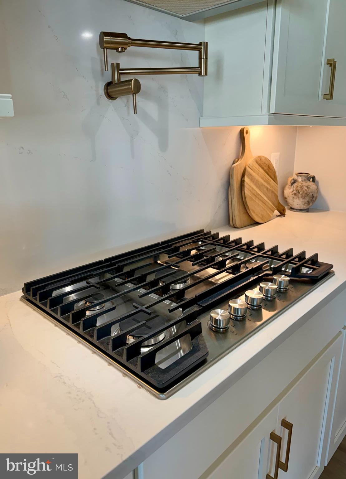 910 Enfield Farm Lane Brunswick, MD 21716 - Photo 20 of 87 Quartz Backsplash