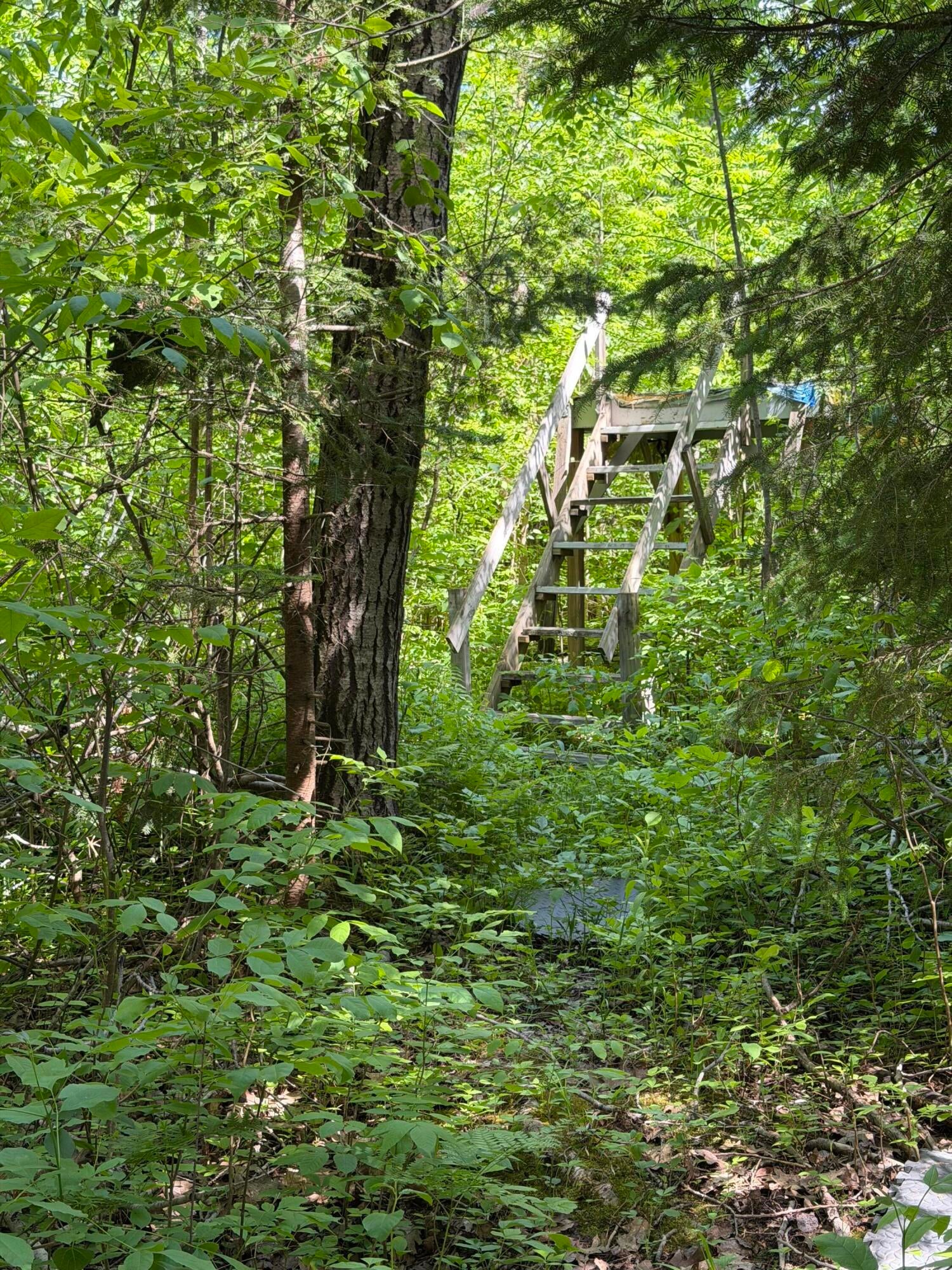 1490 Calcut Road Lachine, MI 49753 - Photo 18 of 52 Gallery Image 18