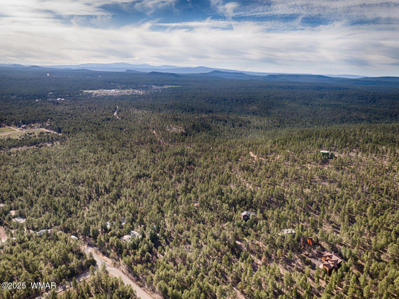 3350 West Rim Road, Unit 2 Lakeside, AZ 85929 - Photo 2 of 11 Rimside