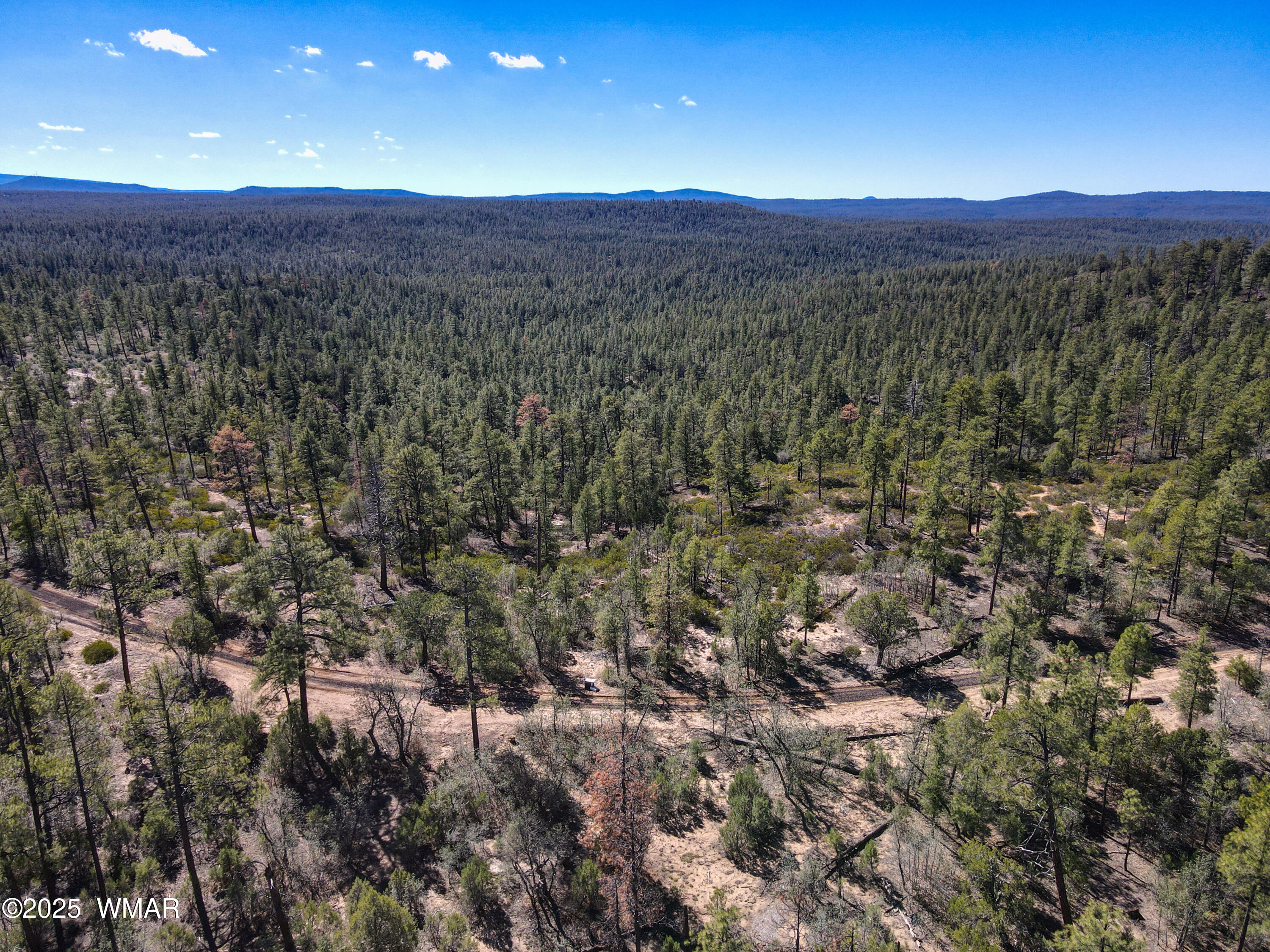 3350 West Rim Road, Unit 2 Lakeside, AZ 85929 - Photo 4 of 11 Rimside