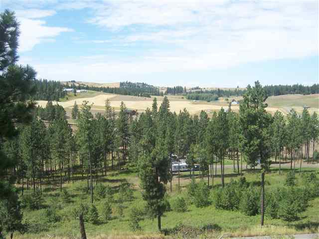 21502 West Jacobs Road Spokane, WA 99224 - Photo 6 of 9