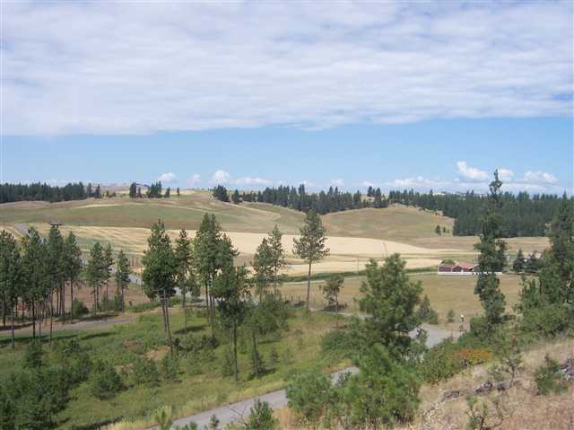 21502 West Jacobs Road Spokane, WA 99224 - Photo 8 of 9