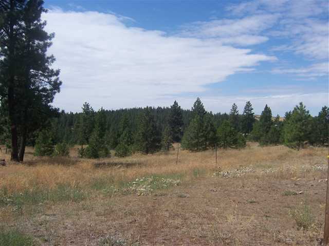 21502 West Jacobs Road Spokane, WA 99224 - Photo 9 of 9
