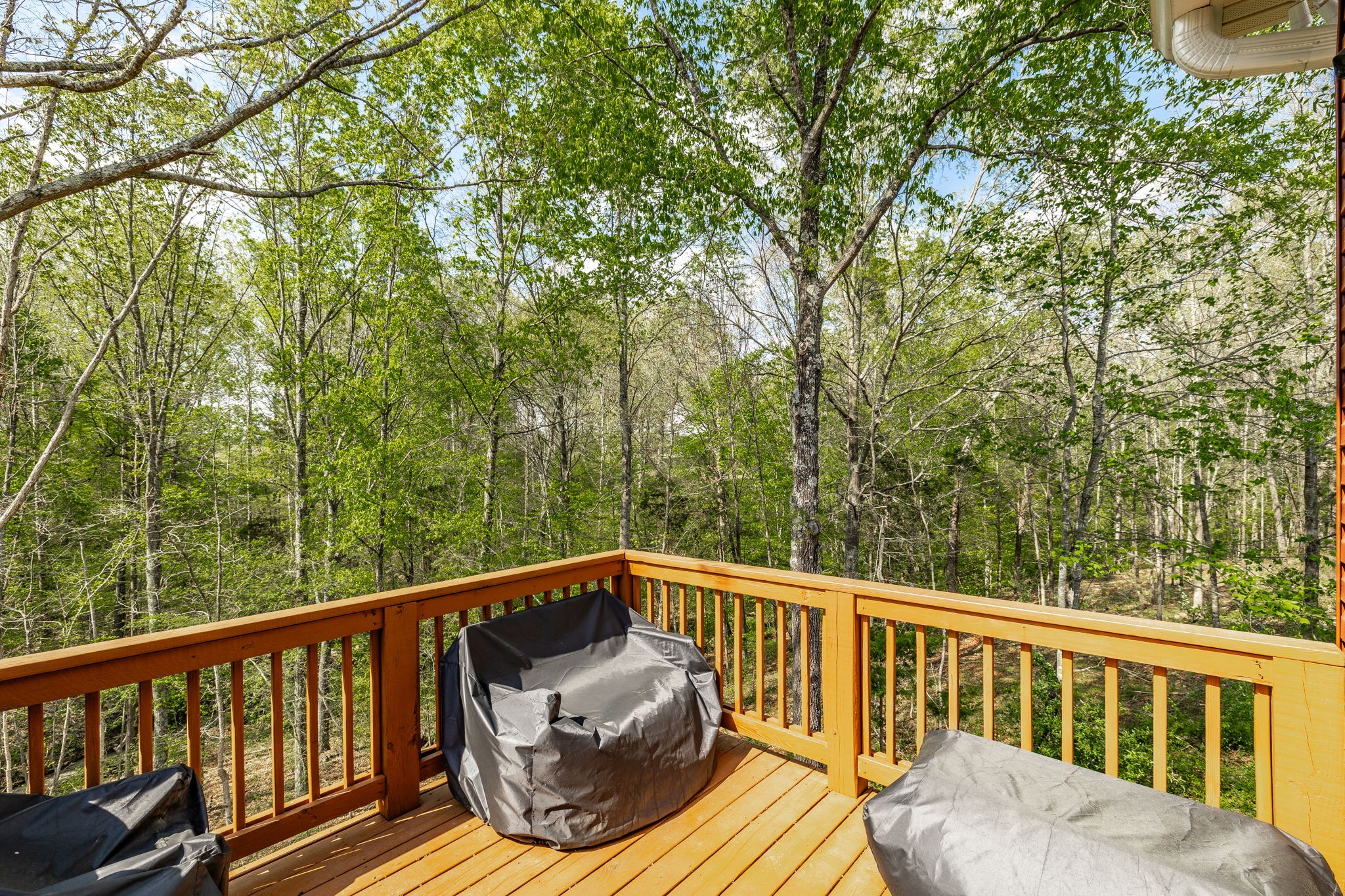 1160 Jonathan Lane Springfield, TN 37172 - Photo 11 of 63