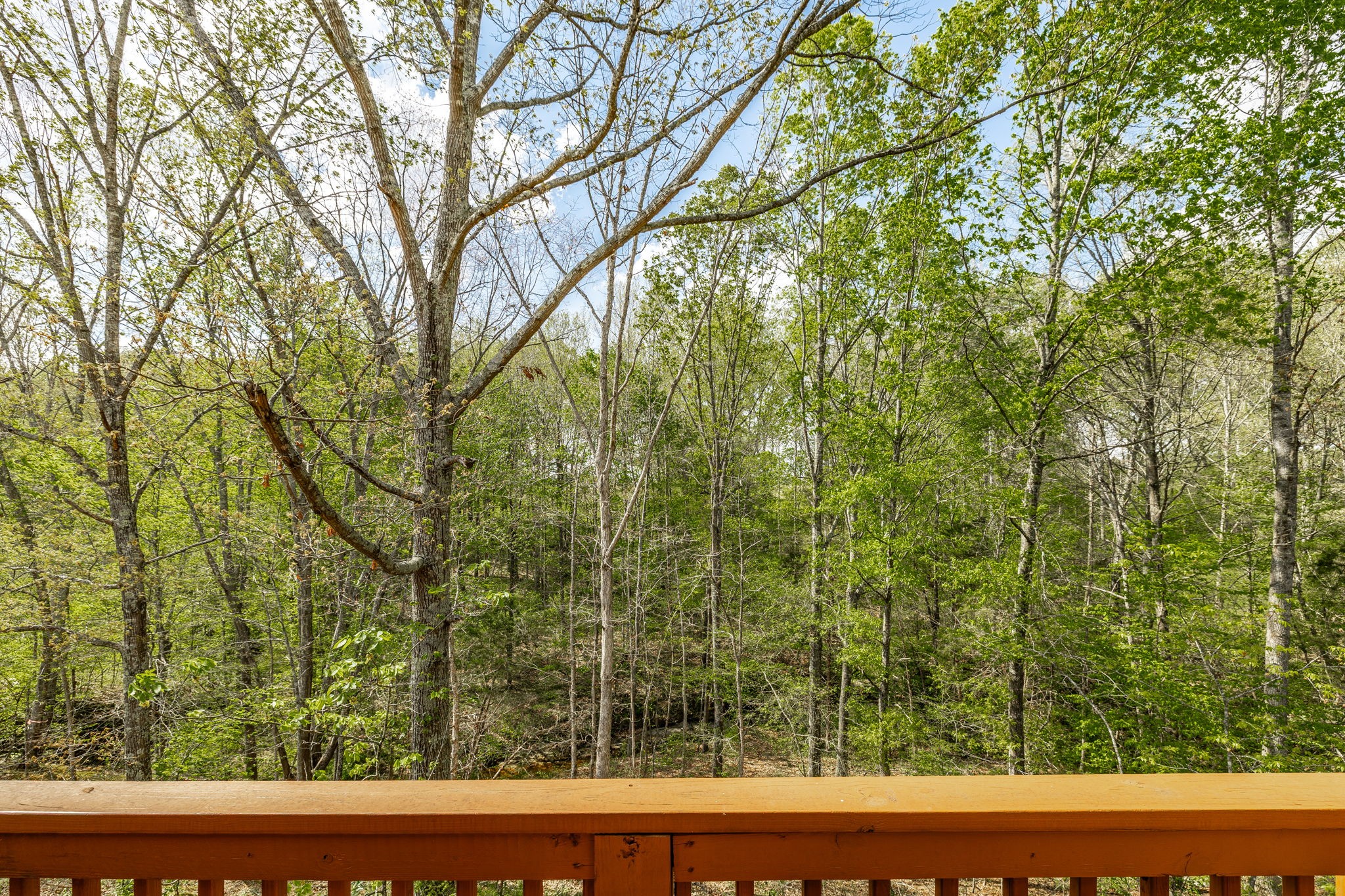 1160 Jonathan Lane Springfield, TN 37172 - Photo 12 of 63