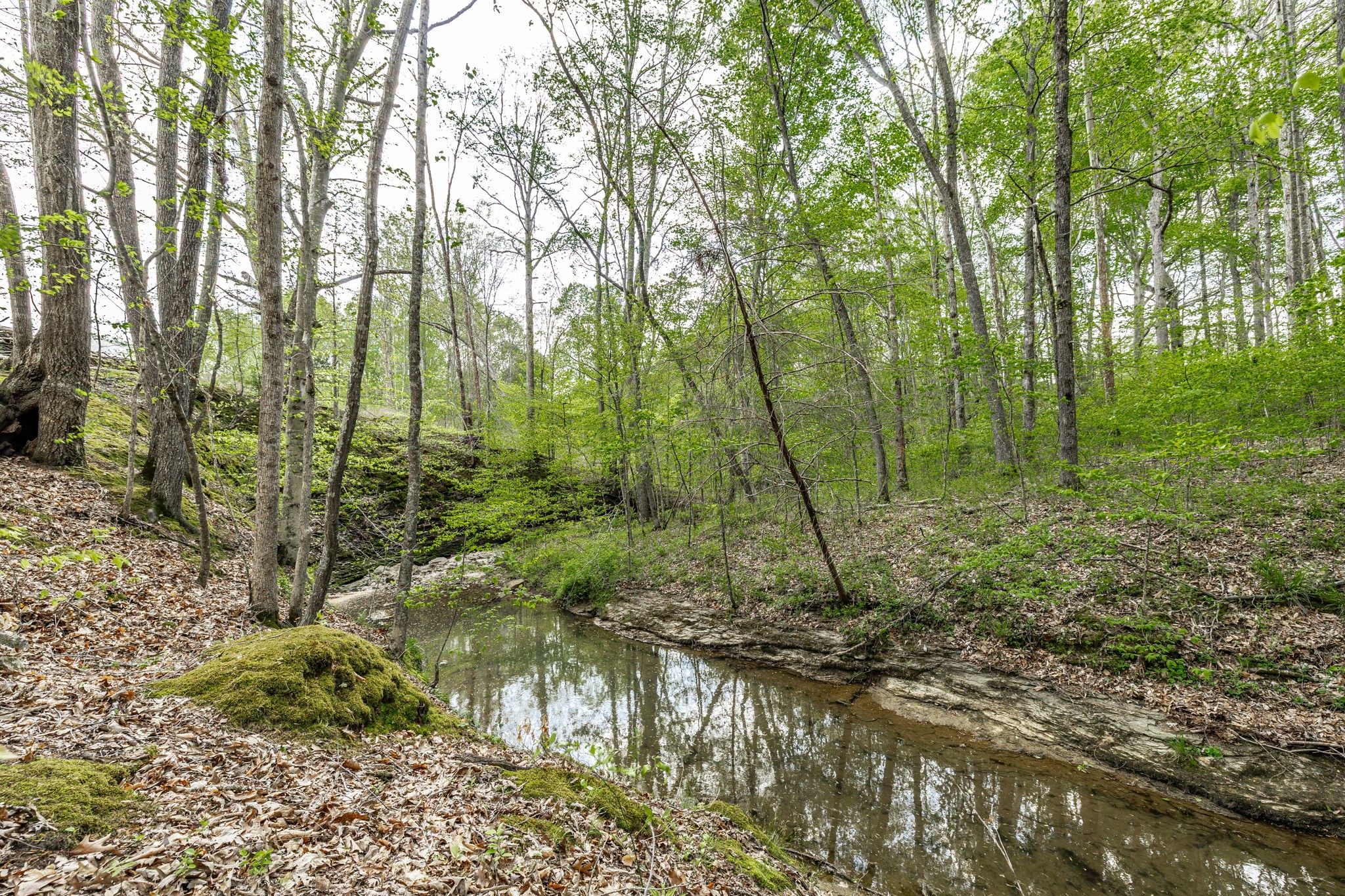 1160 Jonathan Lane Springfield, TN 37172 - Photo 18 of 63