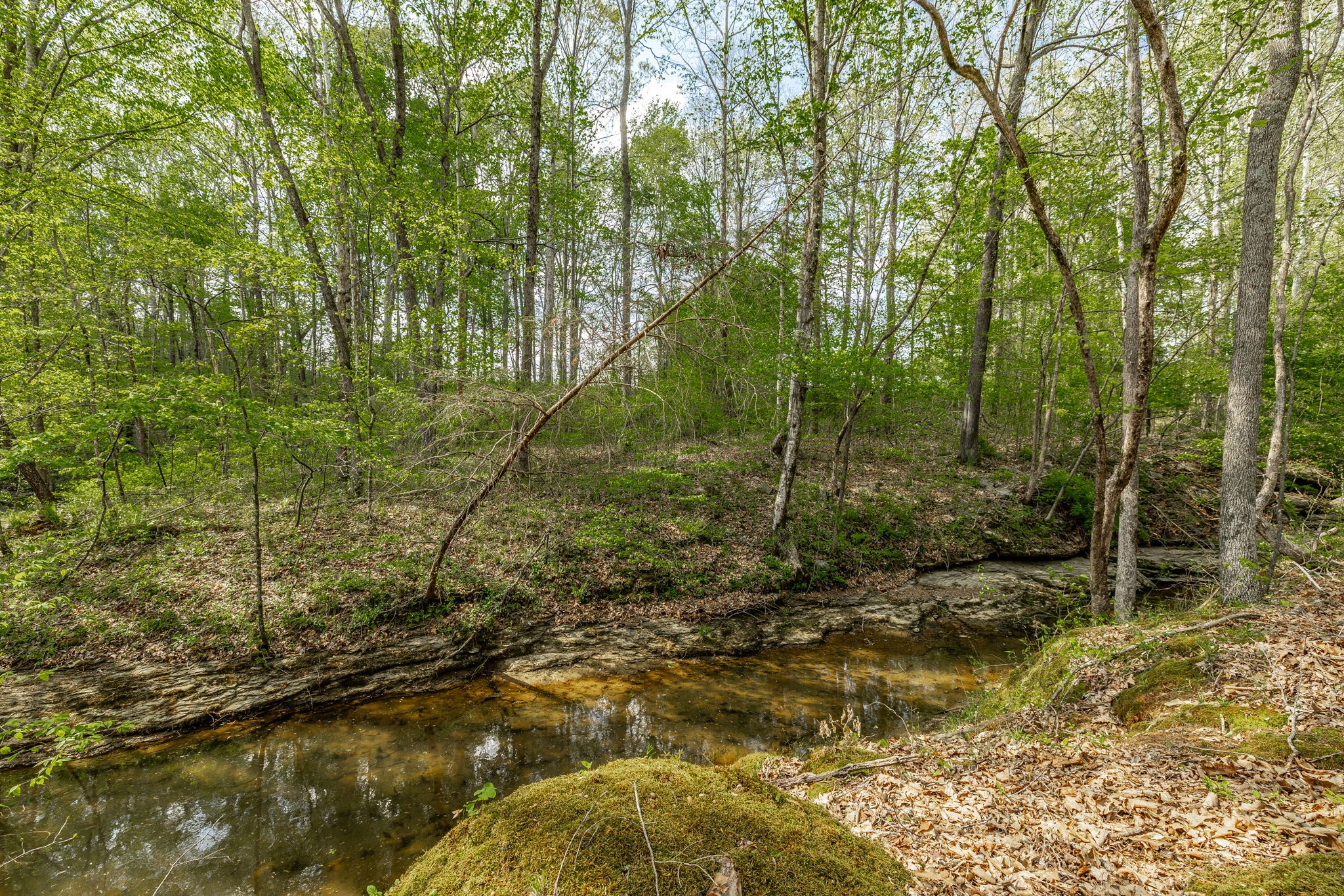 1160 Jonathan Lane Springfield, TN 37172 - Photo 19 of 63