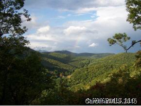 121 Davey Crockett Road Fairview, NC 28730 - Photo 1 of 12 Gallery Image 1