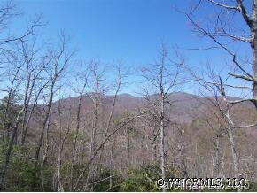 121 Davey Crockett Road Fairview, NC 28730 - Photo 11 of 12 Gallery Image 11