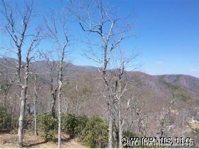 121 Davey Crockett Road Fairview, NC 28730 - Photo 12 of 12 Gallery Image 12
