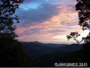 121 Davey Crockett Road Fairview, NC 28730 - Photo 4 of 12 Gallery Image 4