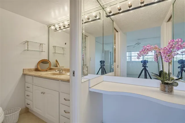 a bathroom with a granite countertop sink a potted plant and a mirror