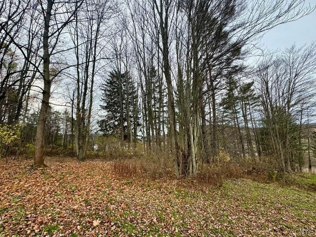 373 North B N Shore Road Cuba, NY 14727 - Photo 35 of 38