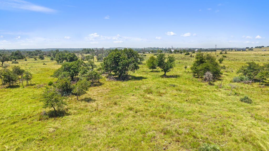 Tbd Reeh Road Fredericksburg, TX 78624 - Photo 24 of 37 A verdant, open expanse dotted with mature trees, offering a tranquil rural landscape.