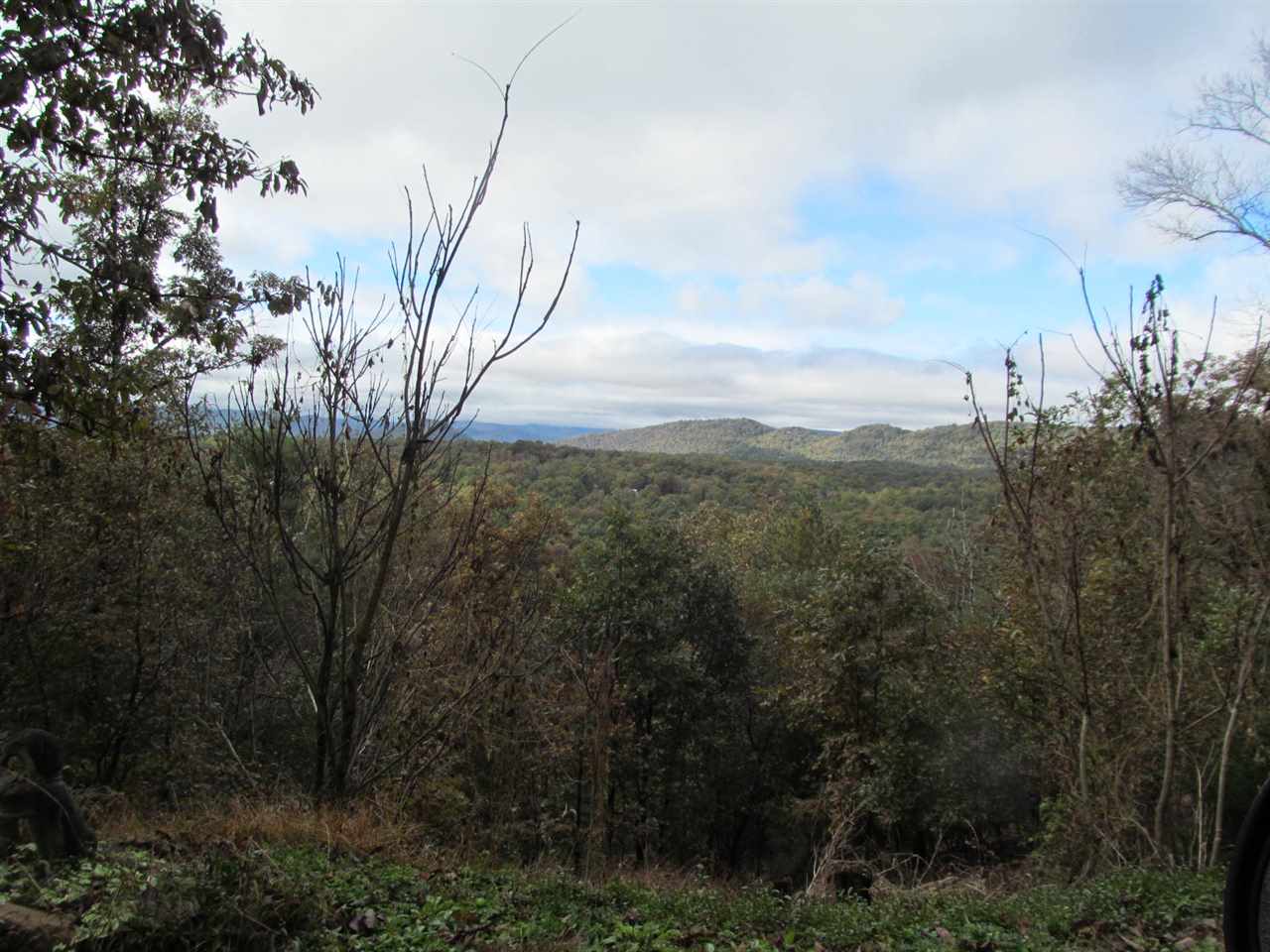0 Hepner Road Mount Jackson, VA 22842 - Photo 5 of 6 a view of a city with lush green forest