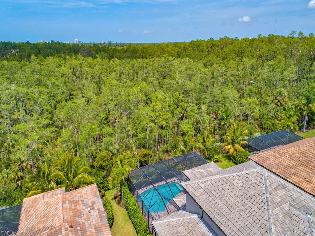 16211 Marsilea Place Naples, FL 34110 - Photo 17 of 17 a view of an outdoor space and a yard