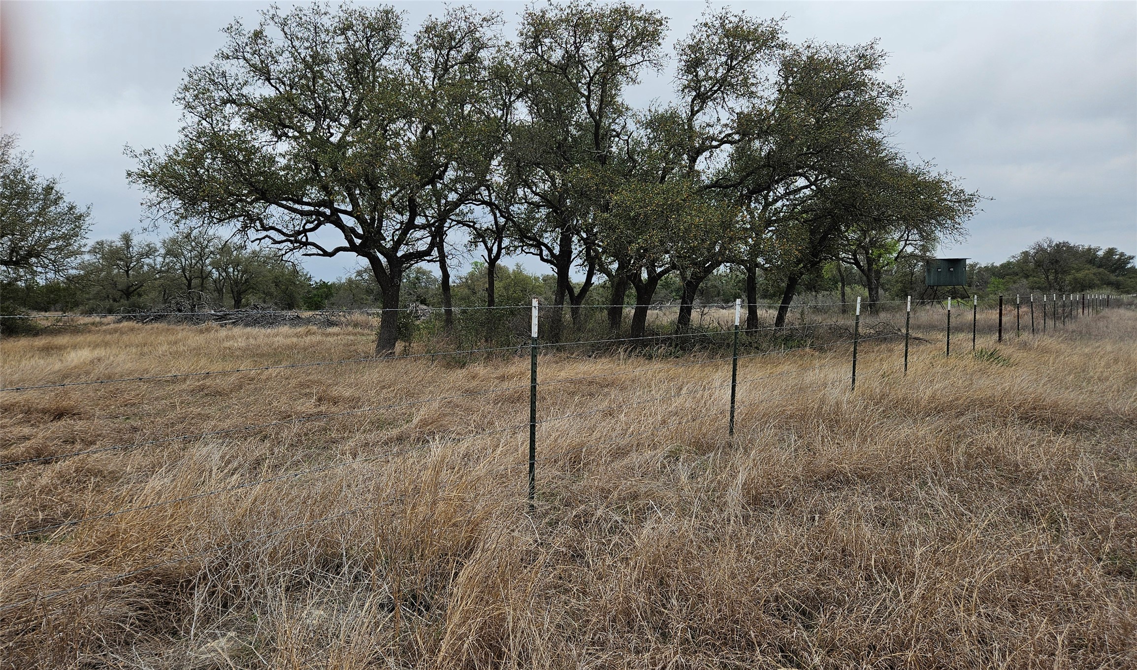 0 C R 316 Georgetown, TX 78626 - Photo 1 of 39 a view of a forest with trees in the background