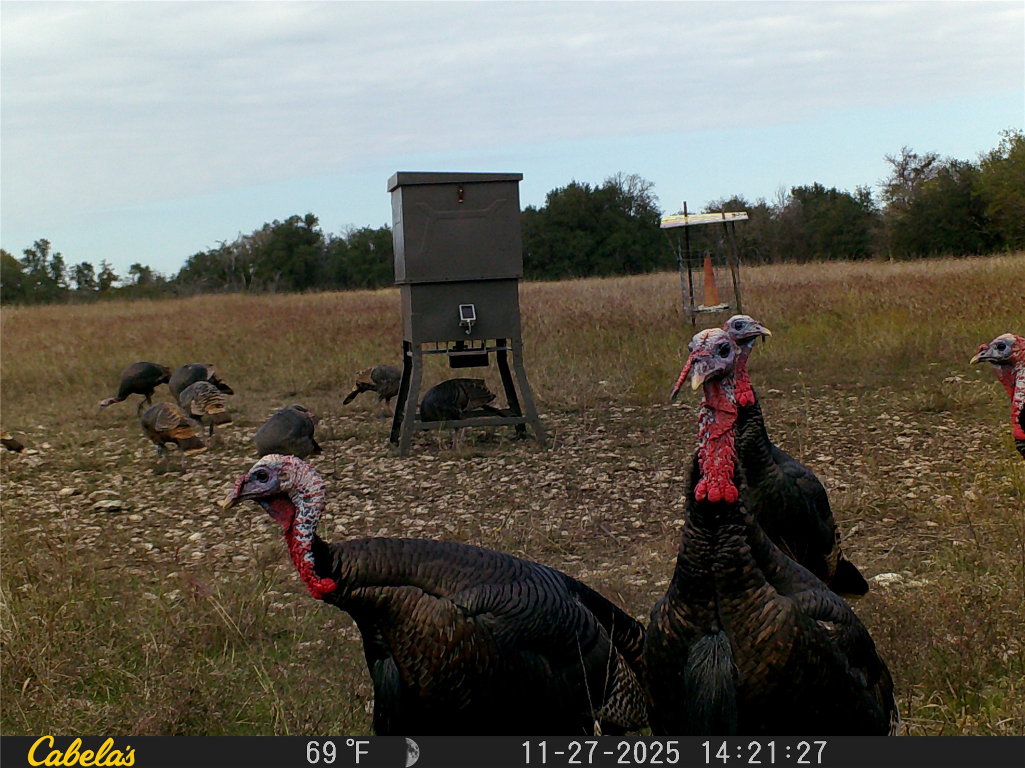 0 C R 316 Georgetown, TX 78626 - Photo 11 of 39 a view of a outdoor space