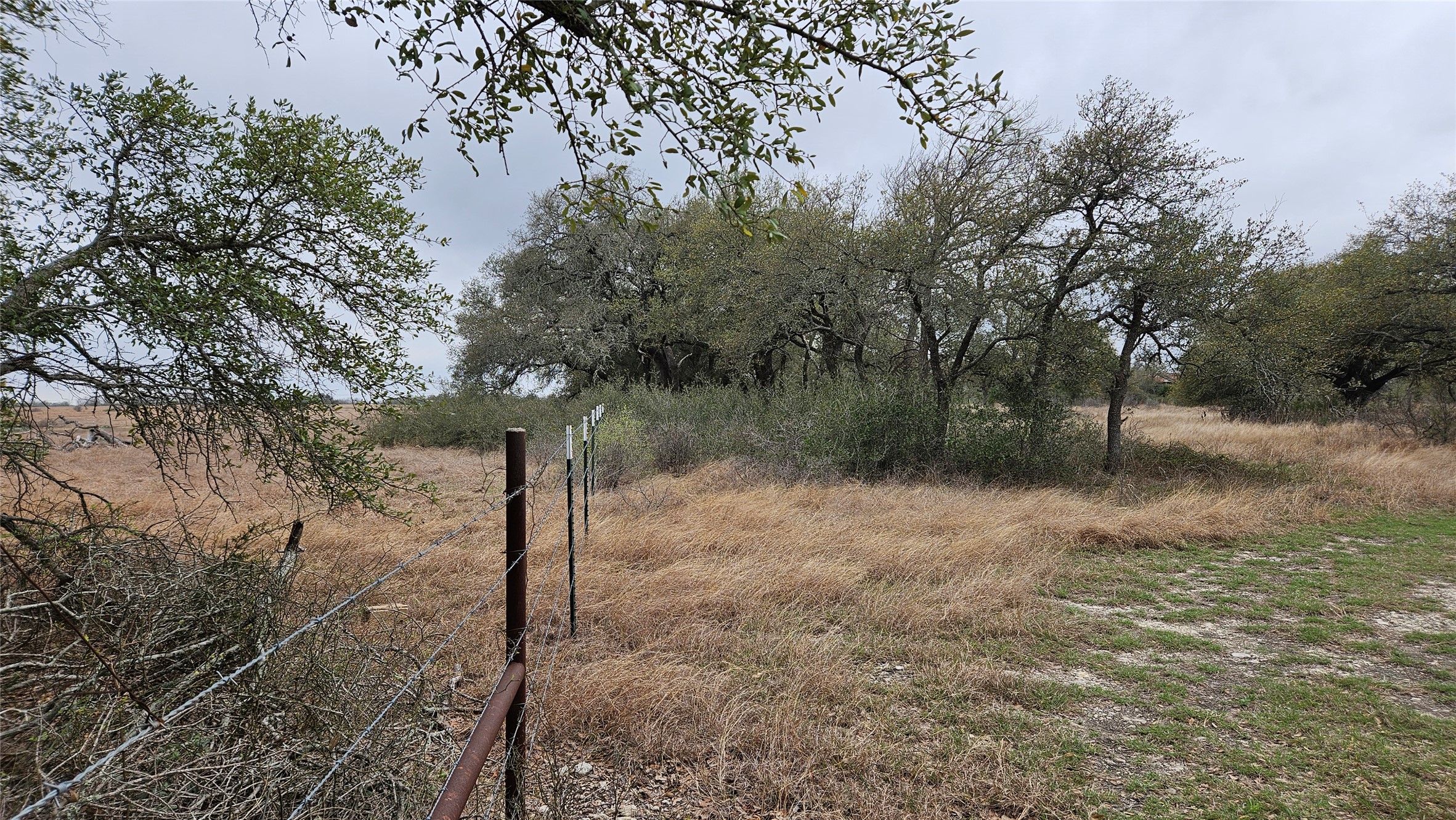 0 C R 316 Georgetown, TX 78626 - Photo 14 of 39 a view of a forest filled with trees