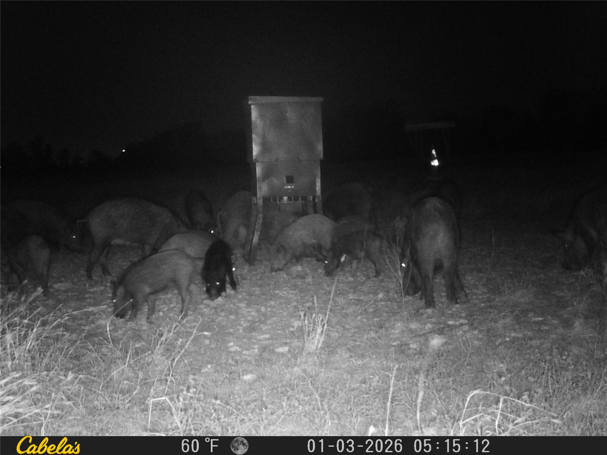 0 C R 316 Georgetown, TX 78626 - Photo 17 of 39 a view of basement