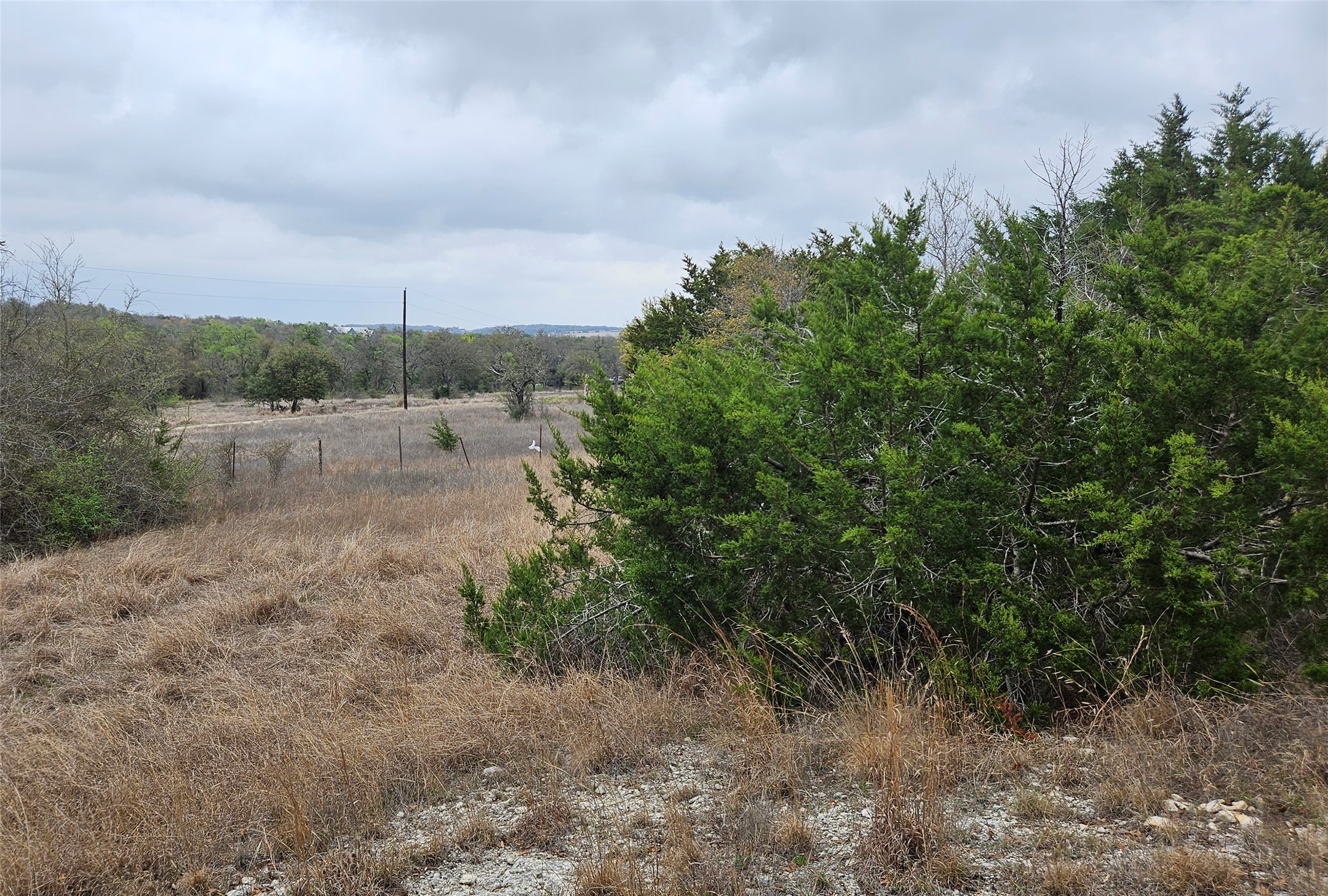 0 C R 316 Georgetown, TX 78626 - Photo 18 of 39 a view of a dry yard with wooden fence
