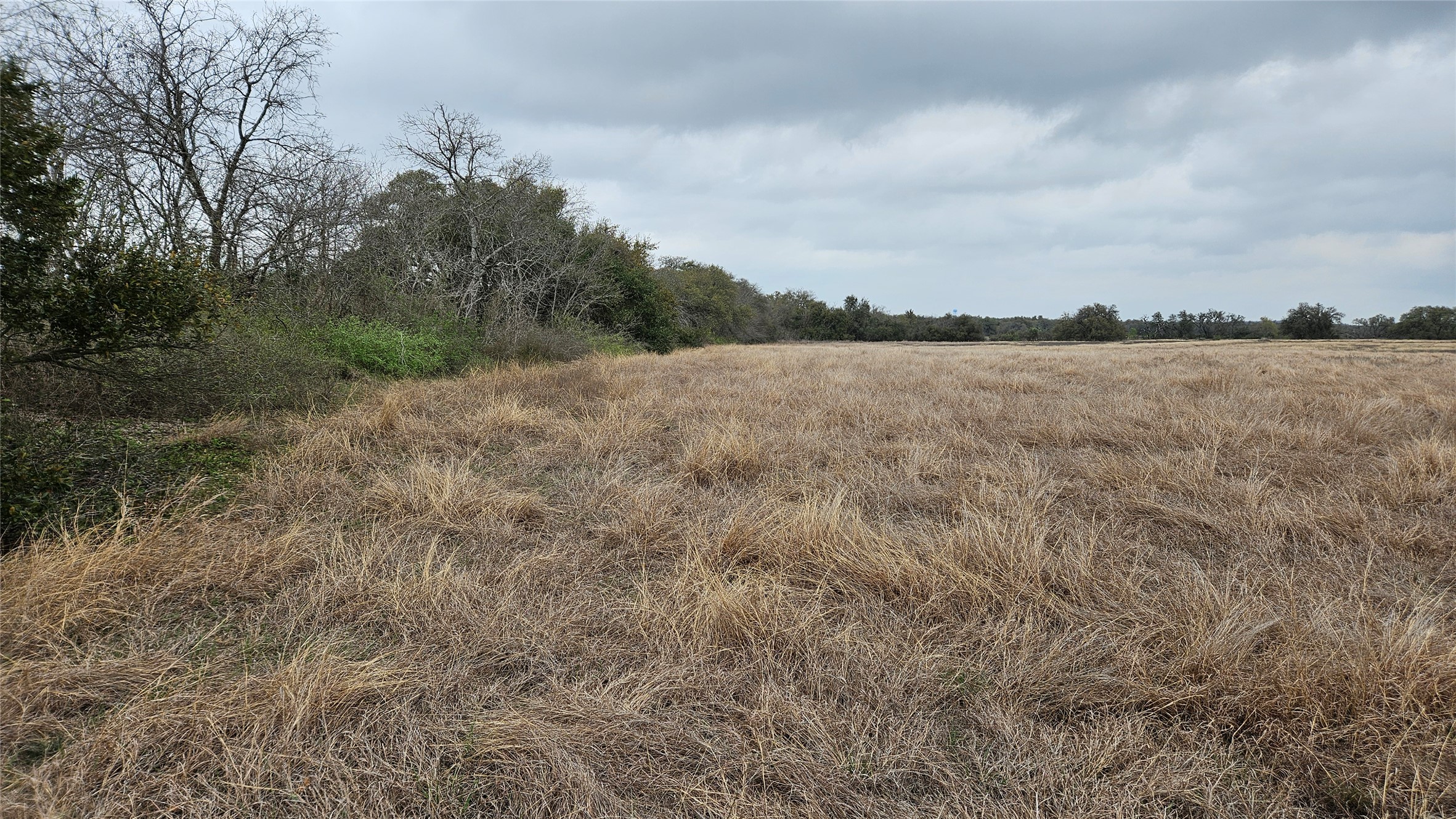 0 C R 316 Georgetown, TX 78626 - Photo 20 of 39