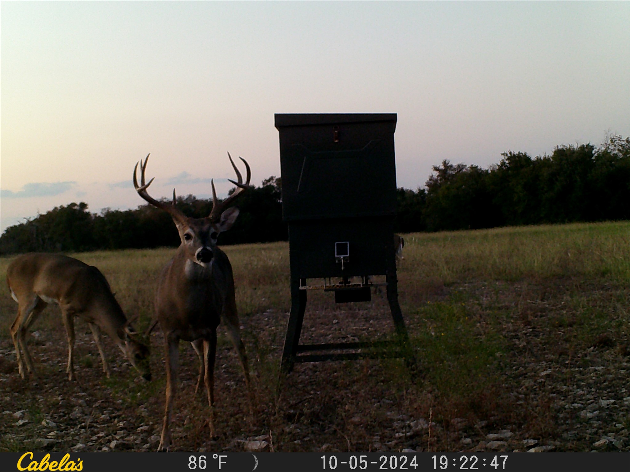 0 C R 316 Georgetown, TX 78626 - Photo 21 of 39 a view of a yard