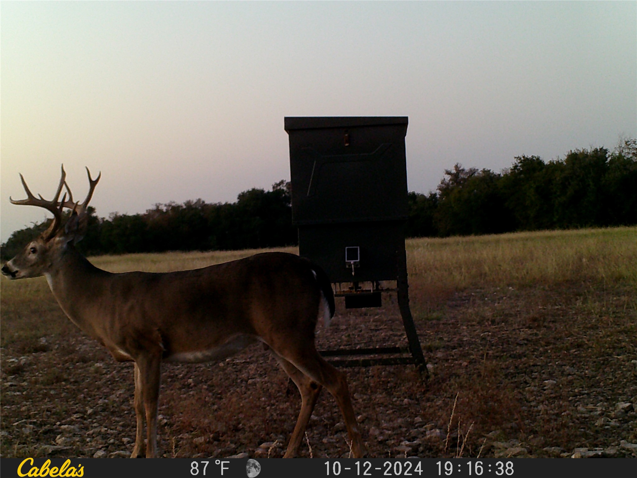 0 C R 316 Georgetown, TX 78626 - Photo 24 of 39 a view of a balcony with chairs and a potted plant