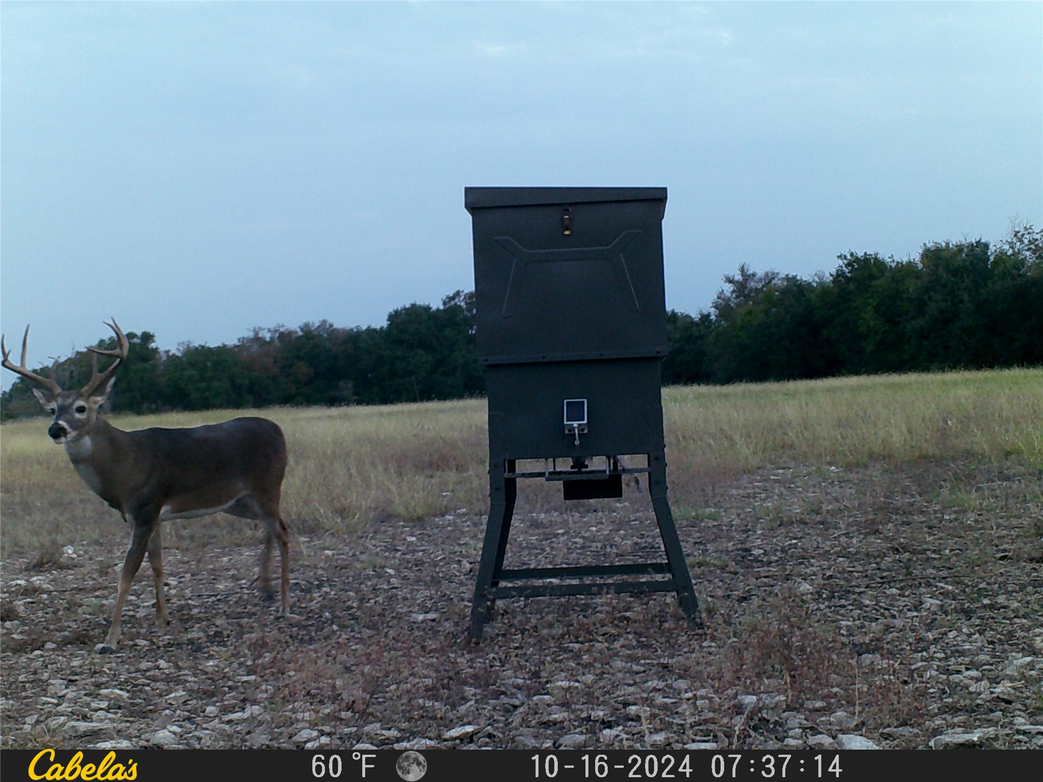 0 C R 316 Georgetown, TX 78626 - Photo 25 of 39 a view of a chairs in a backyard