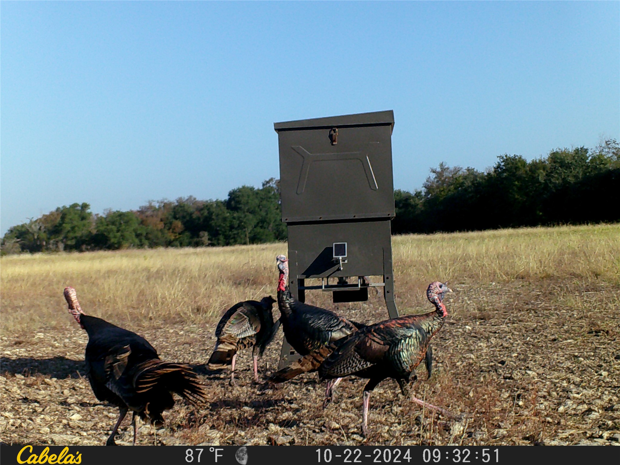 0 C R 316 Georgetown, TX 78626 - Photo 27 of 39 a backyard of a house with table and chairs