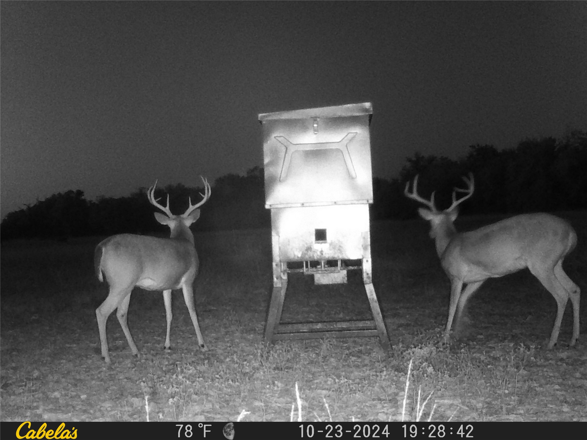 0 C R 316 Georgetown, TX 78626 - Photo 28 of 39 a dining room with furniture and a rug