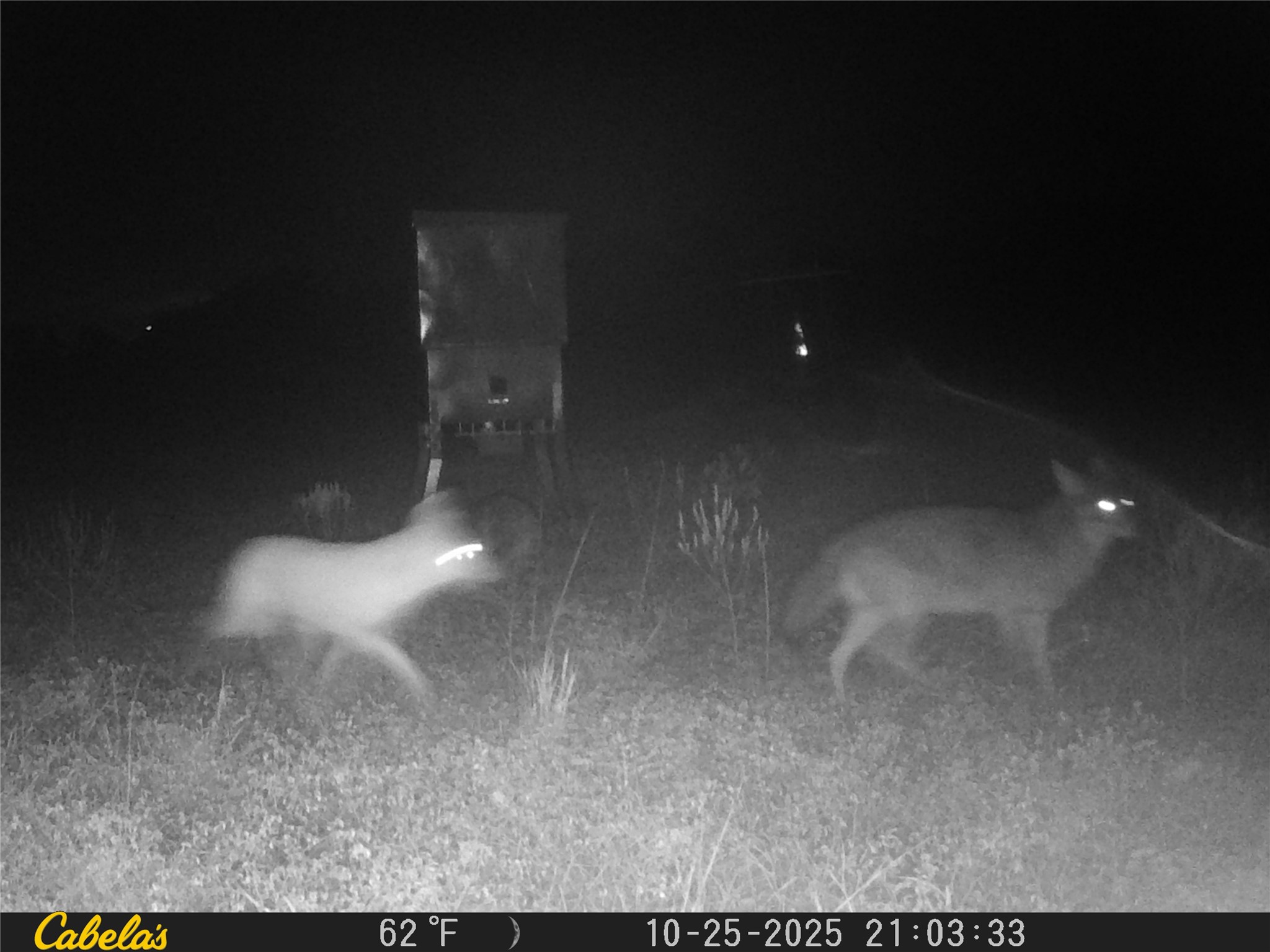 0 C R 316 Georgetown, TX 78626 - Photo 31 of 39 a view of a hallway