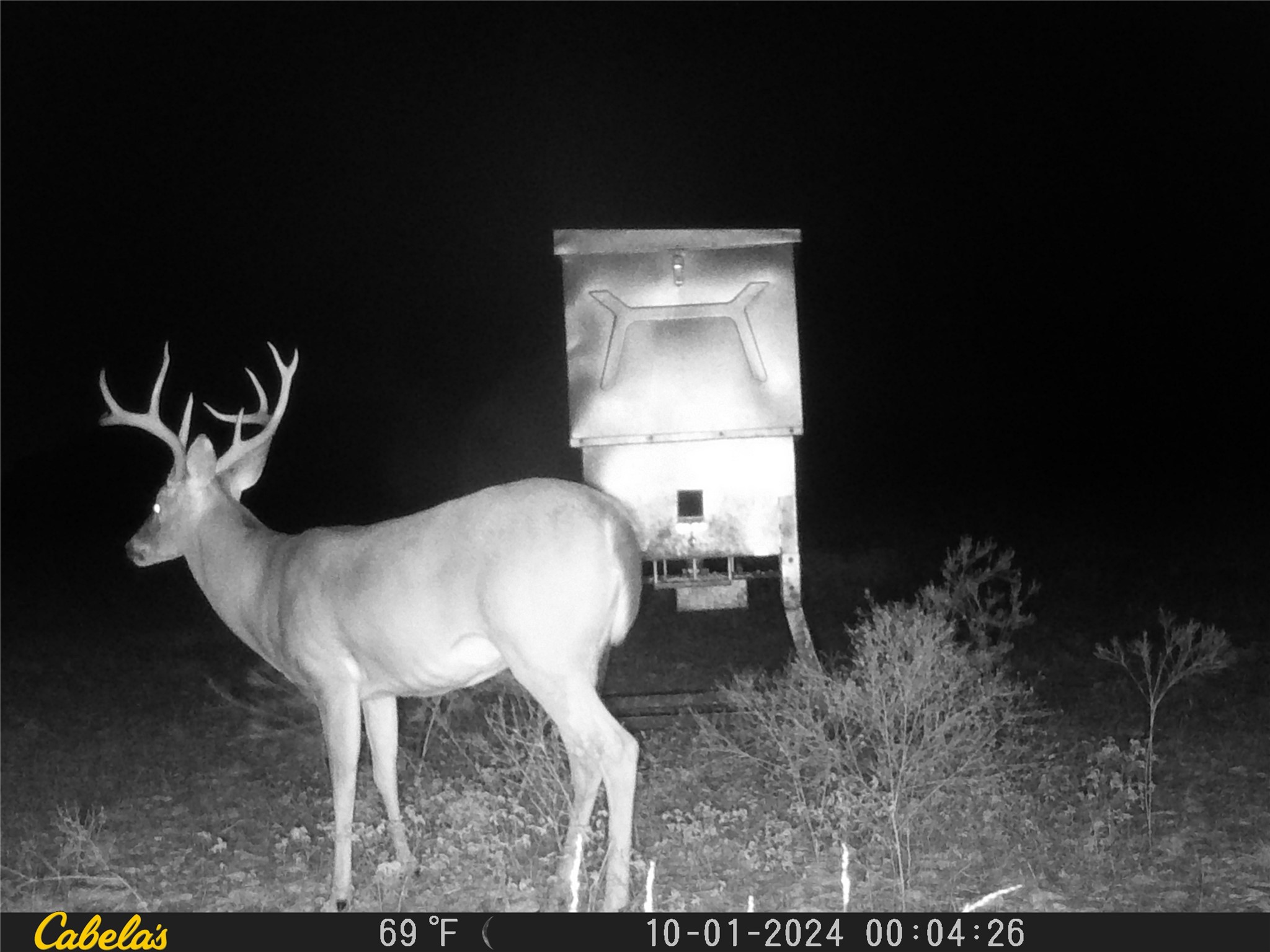 0 C R 316 Georgetown, TX 78626 - Photo 32 of 39 a front view of a house with garden