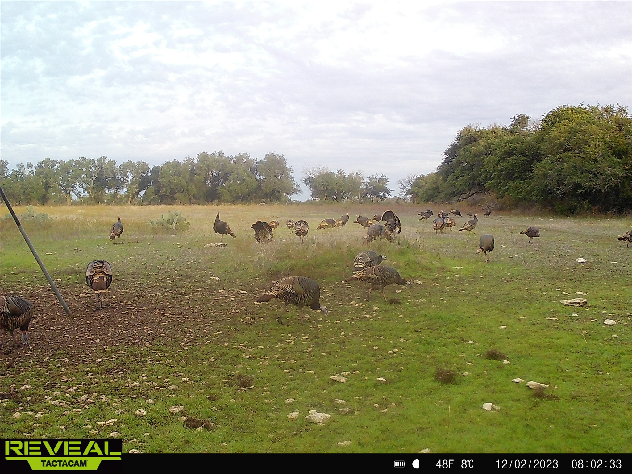 0 C R 316 Georgetown, TX 78626 - Photo 33 of 39 a view of a lake view