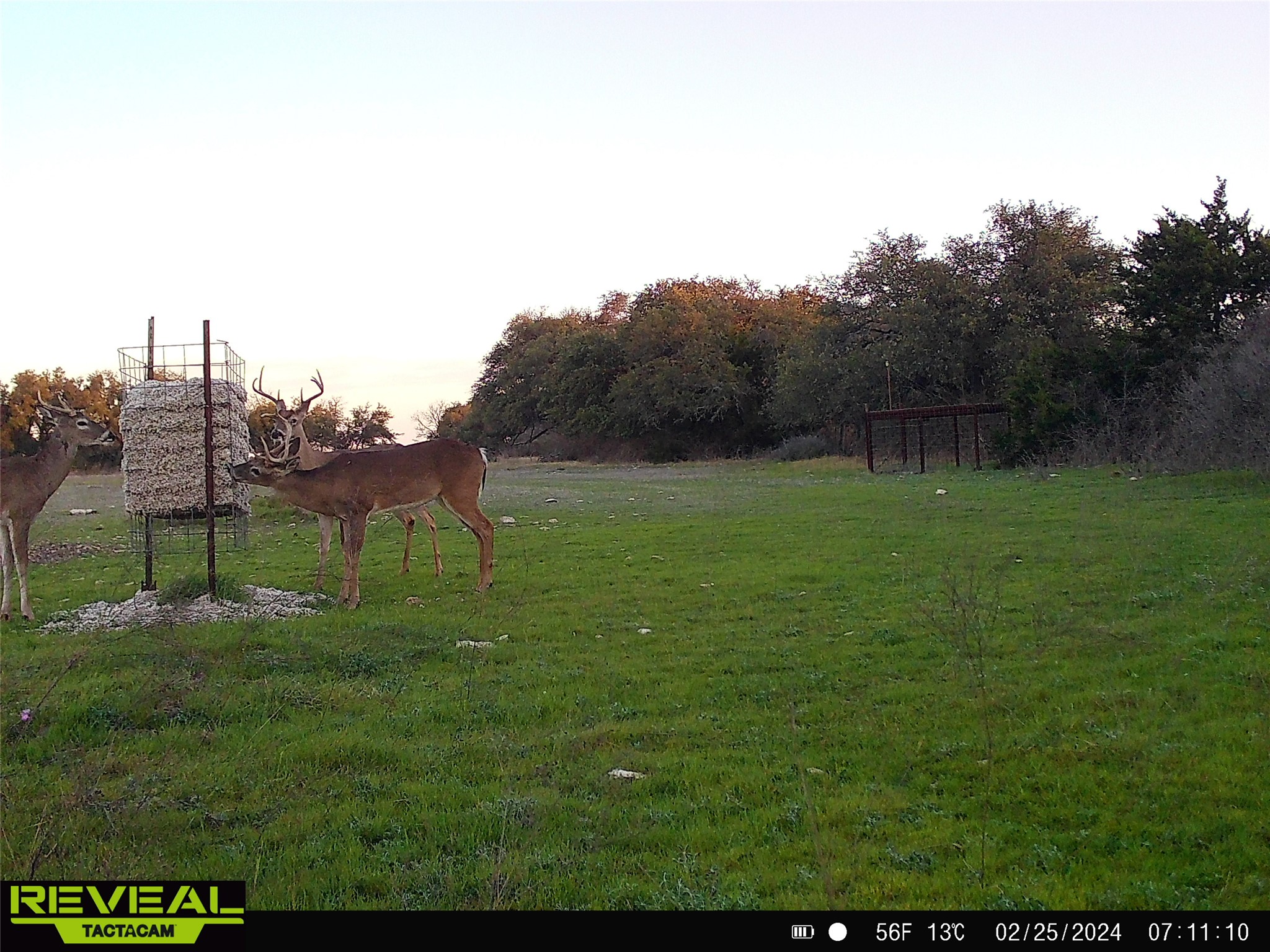 0 C R 316 Georgetown, TX 78626 - Photo 36 of 39 a backyard of a house with lots of green space
