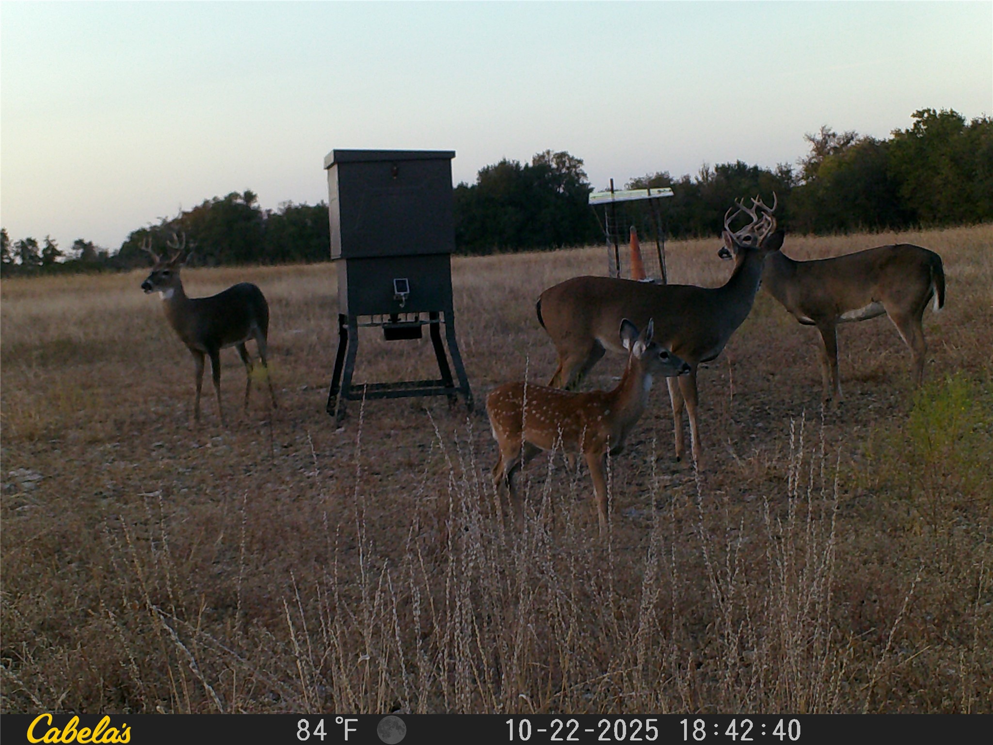 0 C R 316 Georgetown, TX 78626 - Photo 38 of 39 a view of yard from terrace