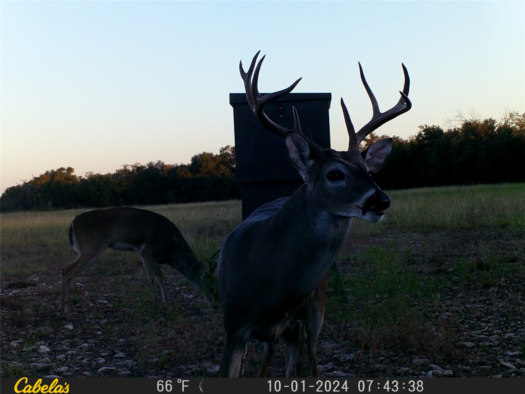 0 C R 316 Georgetown, TX 78626 - Photo 5 of 39 a view of entryway with garden