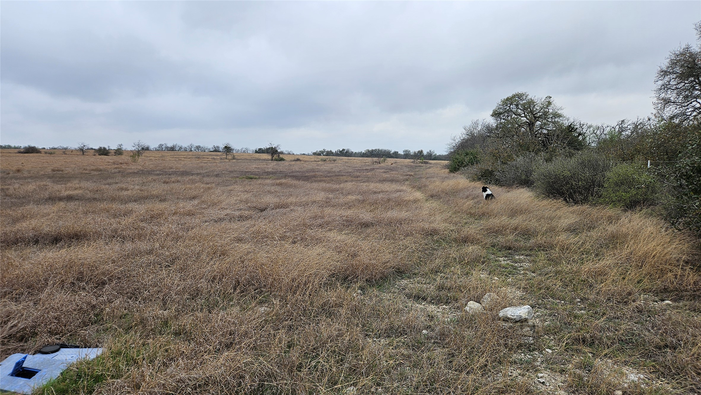 0 C R 316 Georgetown, TX 78626 - Photo 6 of 39