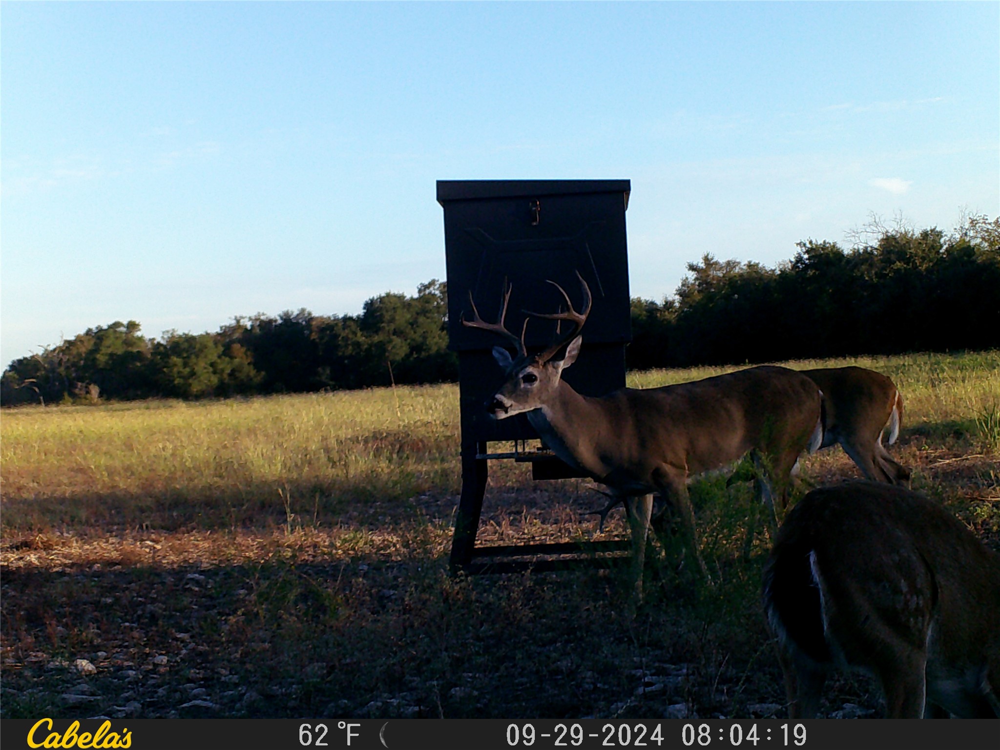 0 C R 316 Georgetown, TX 78626 - Photo 7 of 39 a view of a lake from a yard