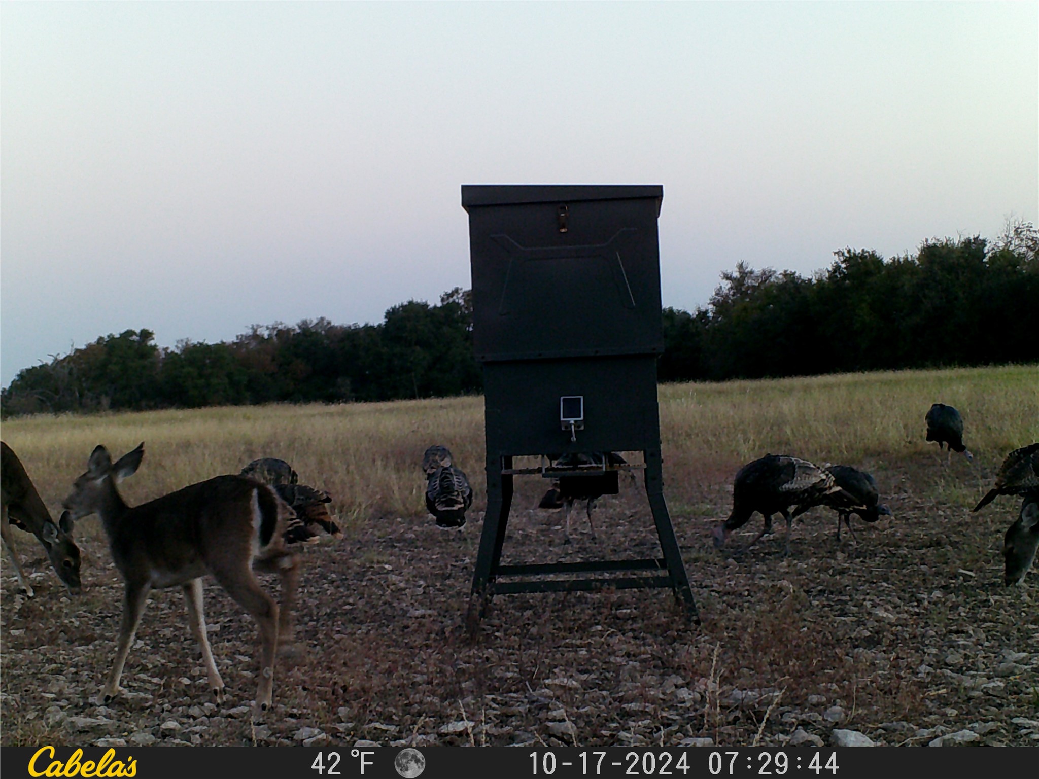 0 C R 316 Georgetown, TX 78626 - Photo 8 of 39 a backyard of a house with table and chairs