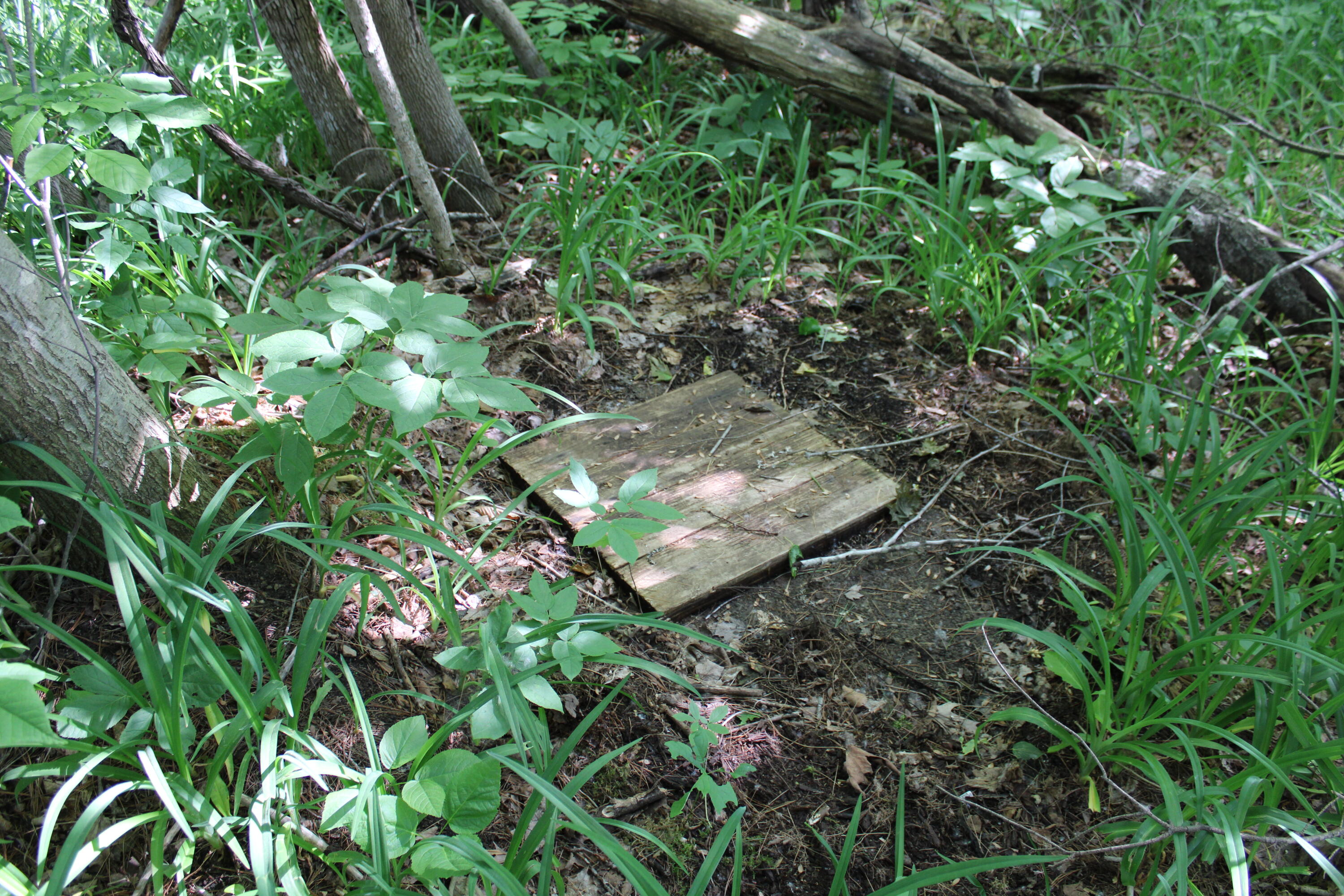 1287 North Star Road Mooers, NY 12959 - Photo 10 of 34 Gallery Image 10