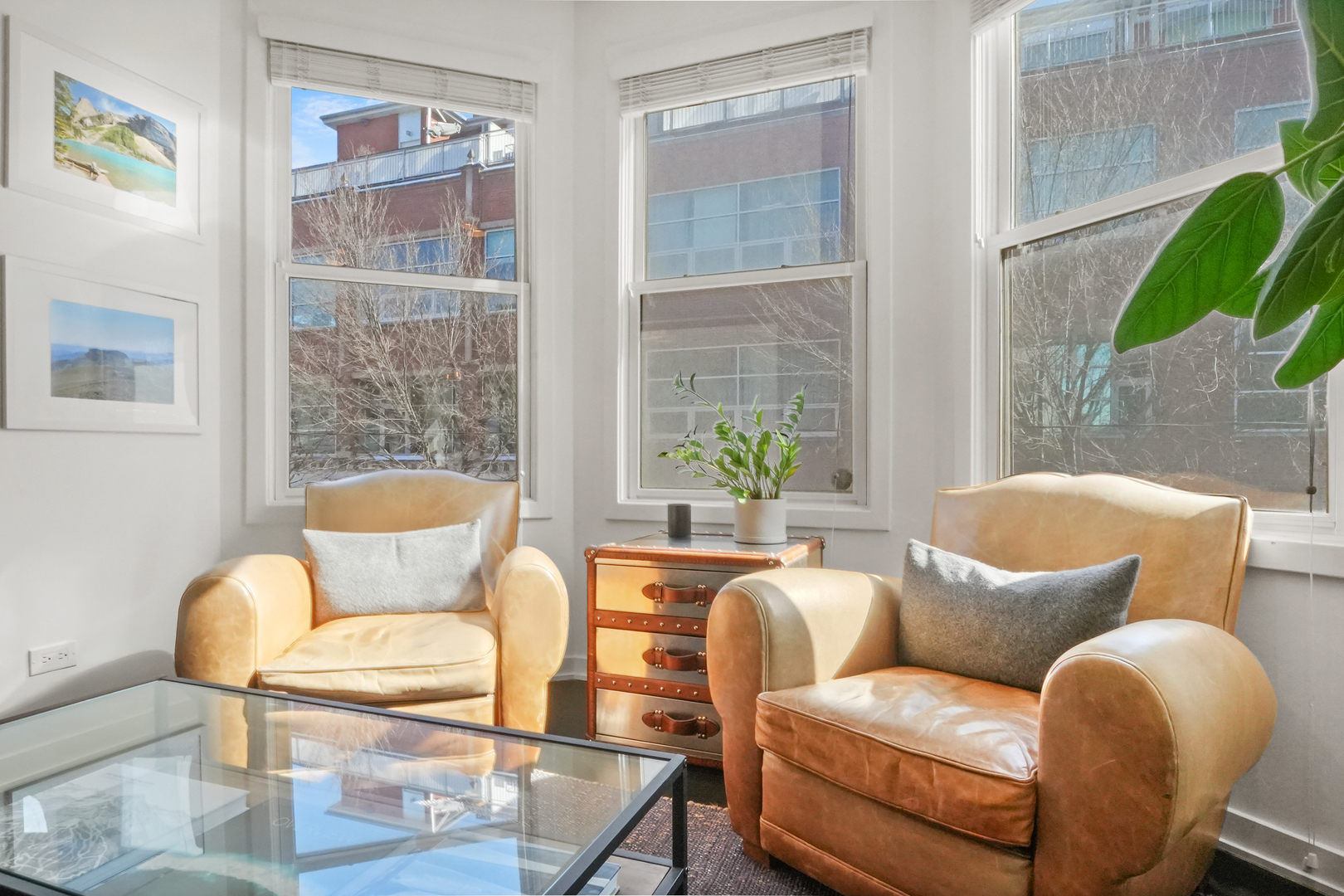 1735 West Division Street, Unit 204 Chicago, IL 60622 - Photo 14 of 26 a living room with furniture and a potted plant