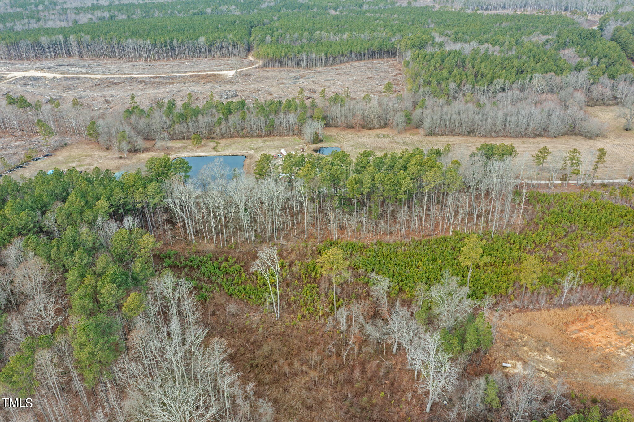 0 Jessie Shearin Road Littleton, NC 27850 - Photo 5 of 16 5-web-or-mls-DJI_0396