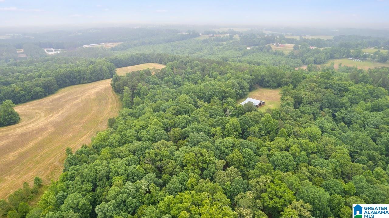 14791 County Road 10, Unit 45 ACRES Ranburne, AL 36273 - Photo 20 of 43