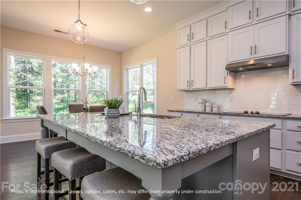 1269 Rae Court, Unit 9 Denver, NC 28037 - Photo 3 of 21 Gallery Image 3