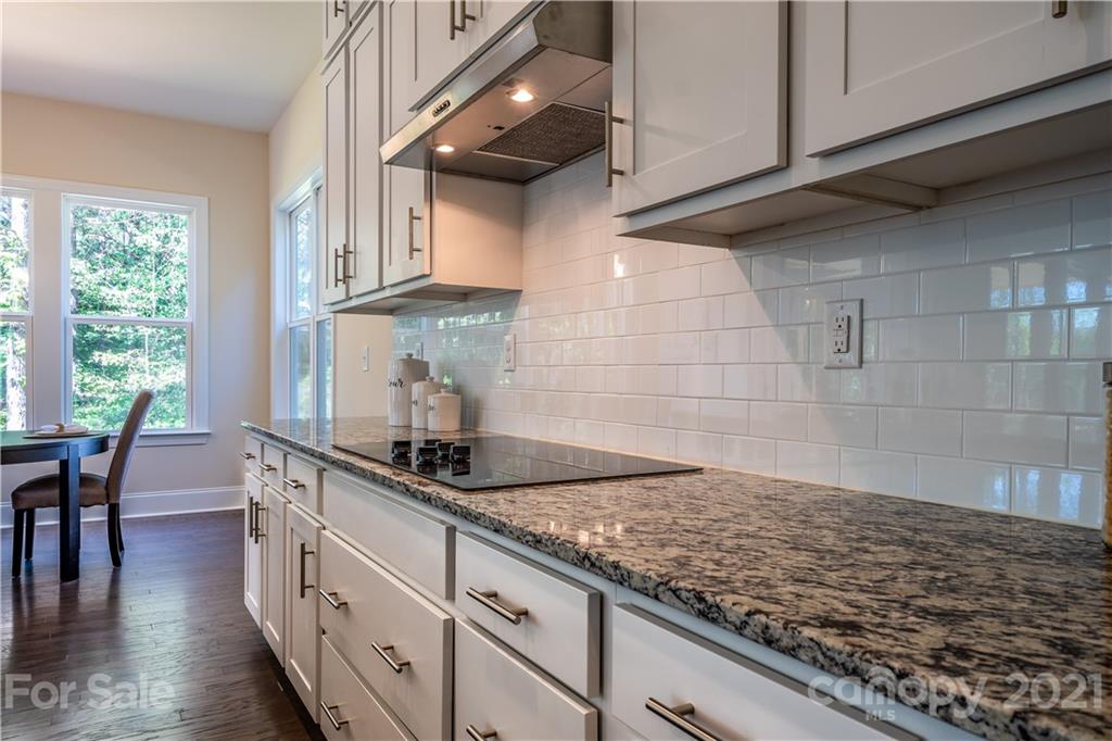 1269 Rae Court, Unit 9 Denver, NC 28037 - Photo 4 of 21 Gallery Image 4